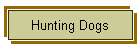 Hunting Dogs