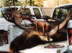 Patten Maine Bull Moose Guided By Calvin McCarthy