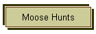 Moose Hunts